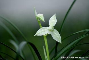 吃瓜热榜 第6页